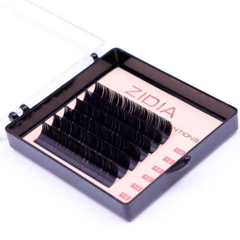 ZIDIA Premium Lash Extensions - ресницы для наращивания (6 лент) D0,1 х 12 мм