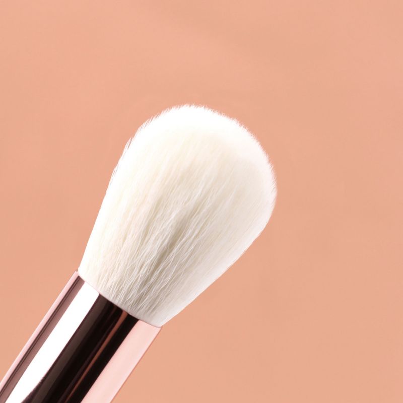 ZIDIA набор кистей для макияжа "Makeup Brush Set Everyday" в косметичке, 12 шт.